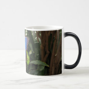 Butterfly Morph Tasse