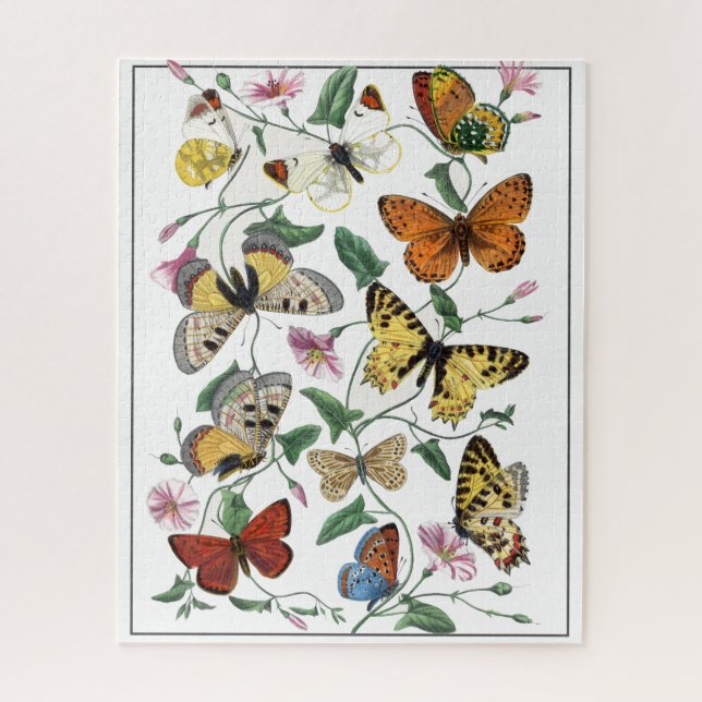 Butterfly & Moth Le Jardin Des Plantes Gervais Puzzle (Vertikal)