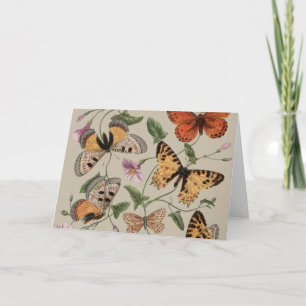 Butterfly Moth Nature Collection Zeichnend Dankeskarte