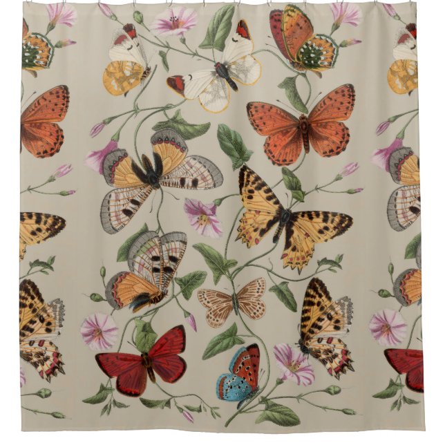 Butterfly Moth Nature Collection Zeichnend Duschvorhang (Vorderseite)