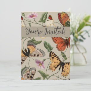 Butterfly Moth Nature Collection Zeichnend Einladung
