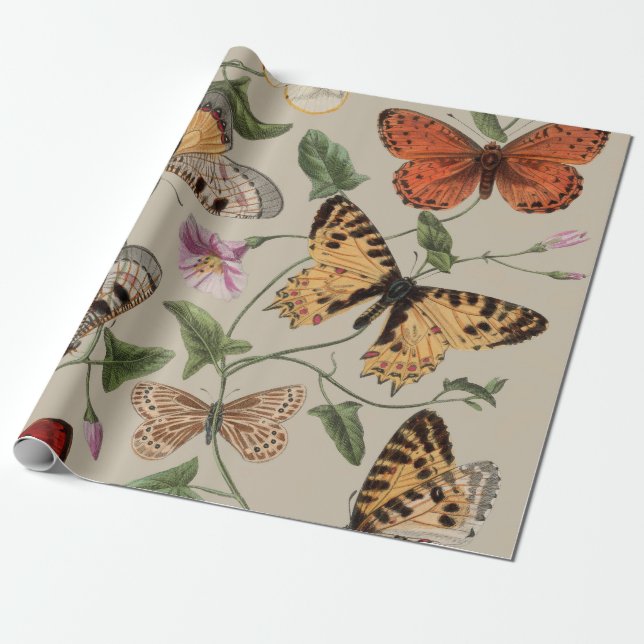 Butterfly Moth Nature Collection Zeichnend Geschenkpapier (Ungerollt)