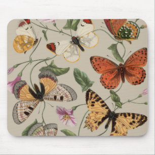 Butterfly Moth Nature Collection Zeichnend Mousepad