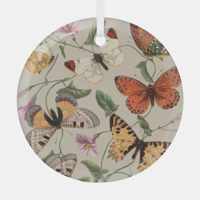 Butterfly Moth Nature Collection Zeichnend Ornament Aus Glas (Vorderseite)