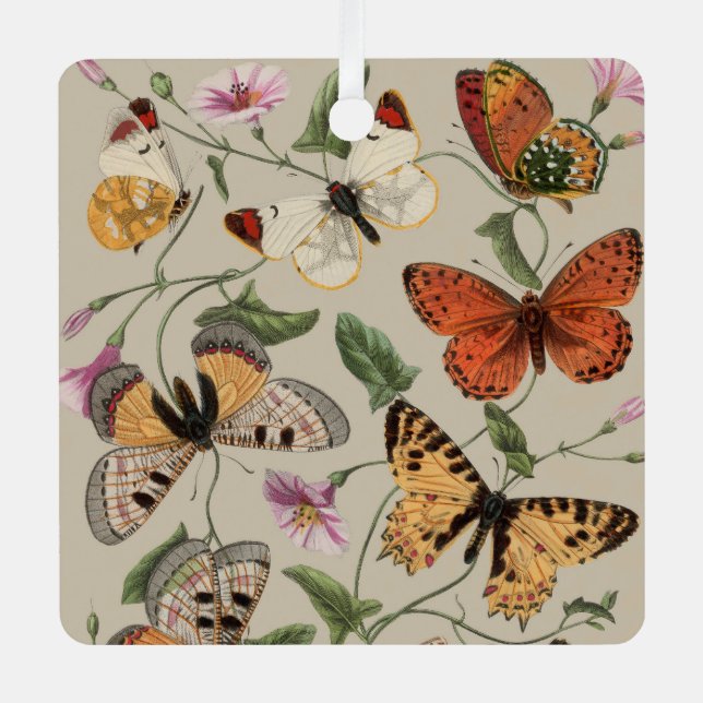 Butterfly Moth Nature Collection Zeichnend Ornament Aus Metall (Vorderseite)