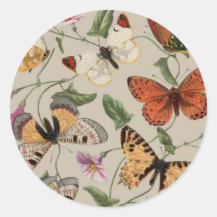 Butterfly Moth Nature Collection Zeichnend Runder Aufkleber
