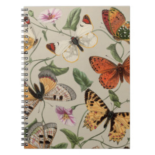 Butterfly Moth Nature Zeichnend antikes Aquarell Notizblock