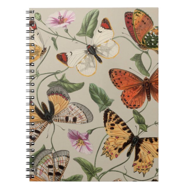 Butterfly Moth Nature Zeichnend antikes Aquarell Notizblock (Vorderseite)