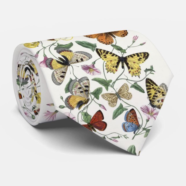 Butterfly & Moth von Paul Gervais Krawatte (Gerollt)