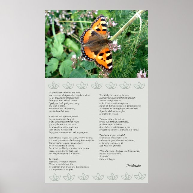 Butterfly Motivierend Desiderata Poster (Vorne)