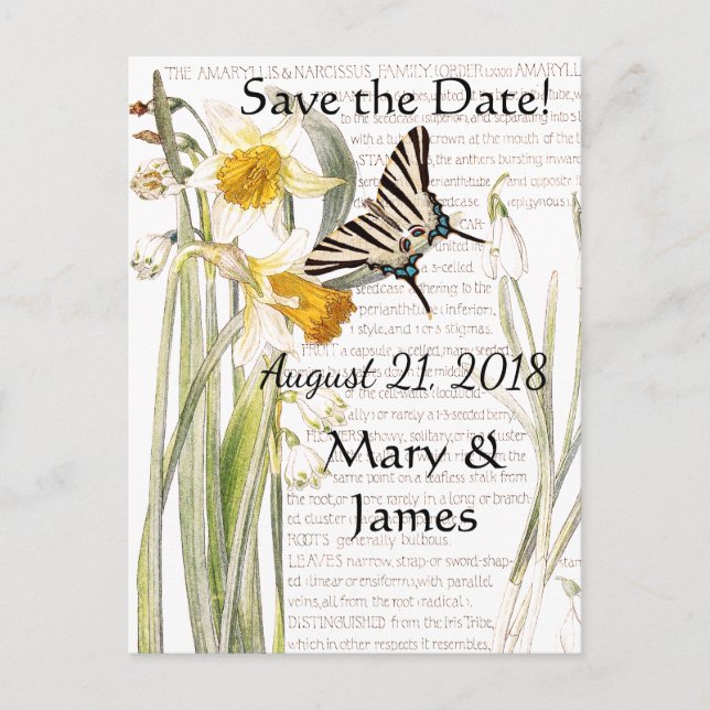 Butterfly Narissus Blume Save the Date Postkarte (Vorderseite)