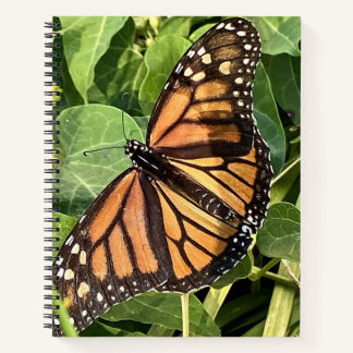 Butterfly Notebook Notizbuch