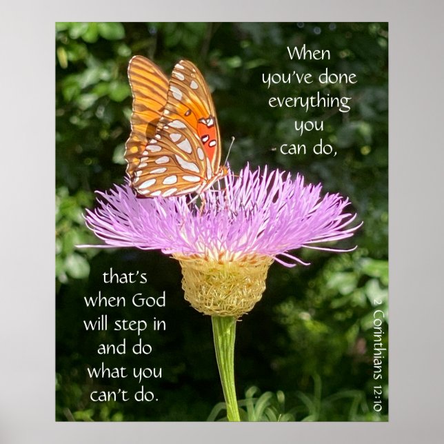 Butterfly on Basketblume, Scripting Verse Poster (Vorne)