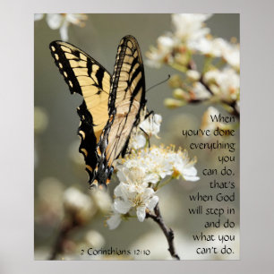 Butterfly on Blossoms, Scripting Verse Poster