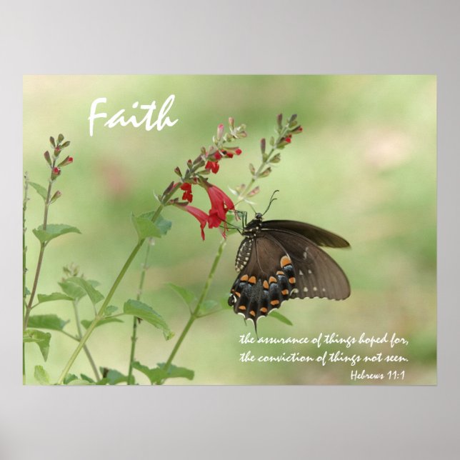 Butterfly on Wildblumen, Scripture Vers on Faith Poster (Vorne)
