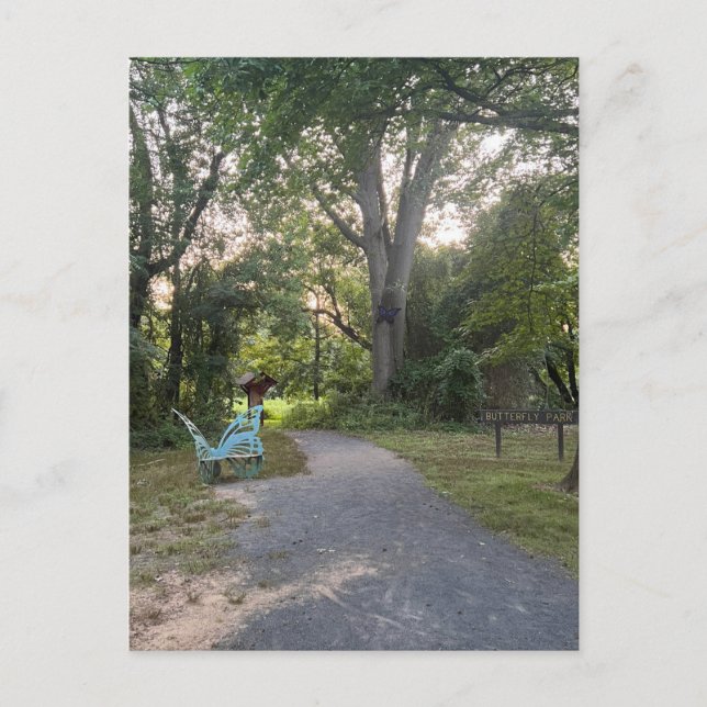 Butterfly Park 2 Postkarte (Vorderseite)
