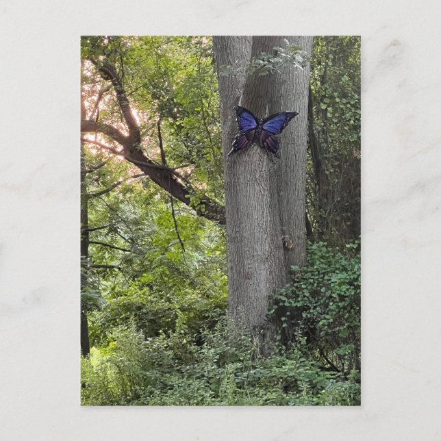 Butterfly Park Postkarte (Vorderseite)