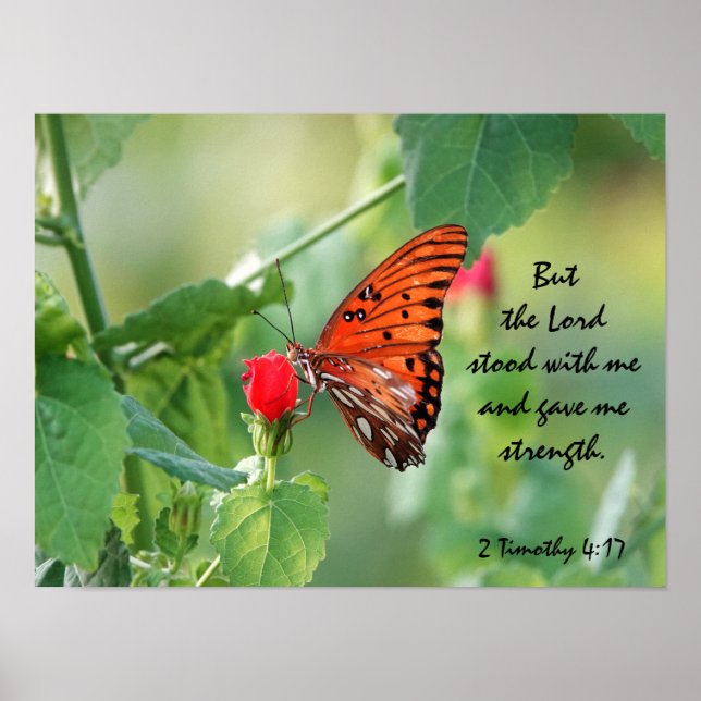 Butterfly Poster mit Verse über Gottes Stärke (Vorne)