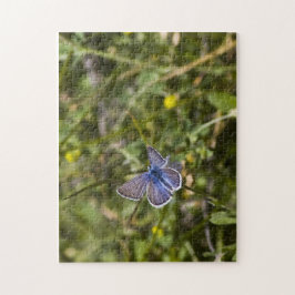 Butterfly-Puzzle 3 Puzzle