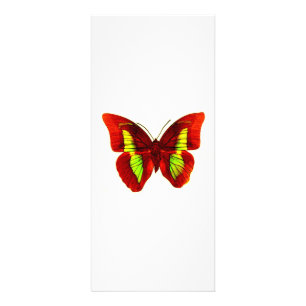 Butterfly-Rack-Karte Werbekarte