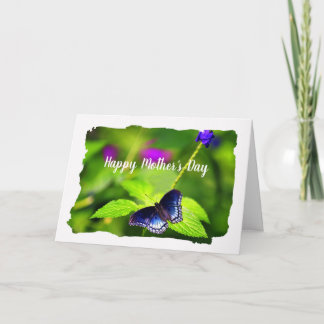 Butterfly Red-spotted Purple Mother's Day Karte