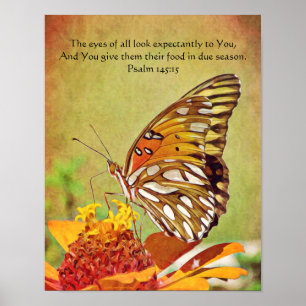 Butterfly Scripting Poster