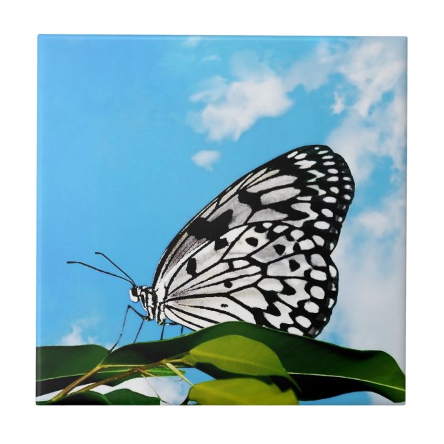 Butterfly & Sky Fliese (Vorderseite)