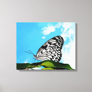 Butterfly & Sky Leinwanddruck