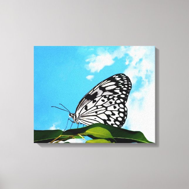 Butterfly & Sky Leinwanddruck (Vorderseite)