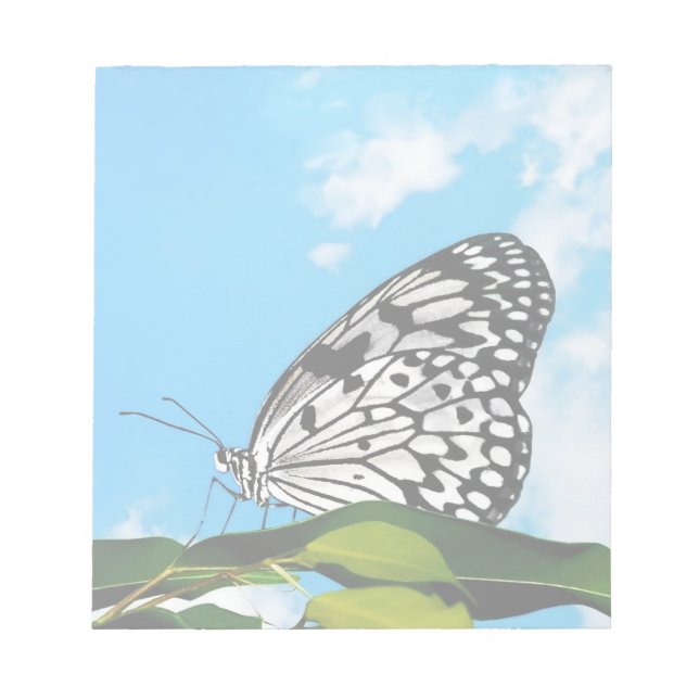 Butterfly & Sky Notizblock (Vorderseite)