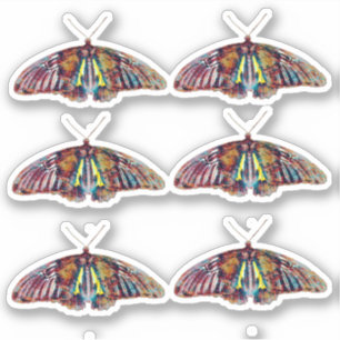 Butterfly-Stickers-Blatt von sechs Aufkleber