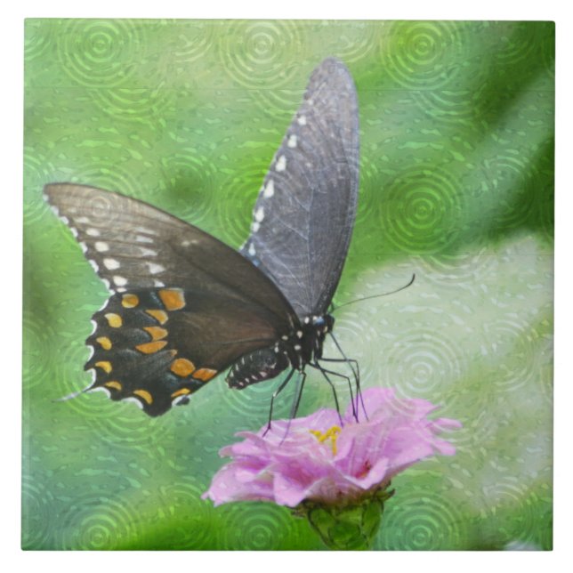 Butterfly Summer Tile Fliese (Vorderseite)