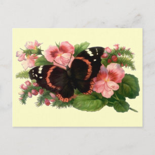Butterfly & Sweet Pea Blumengarten Geschenke Desig Postkarte