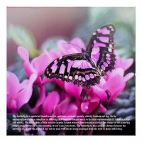 Butterfly Symbolismus Poster