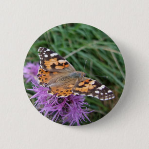 Butterfly-Taste Button