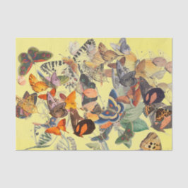 BUTTERFLY-TISSUPAPIER IN YELLOW SEIDENPAPIER