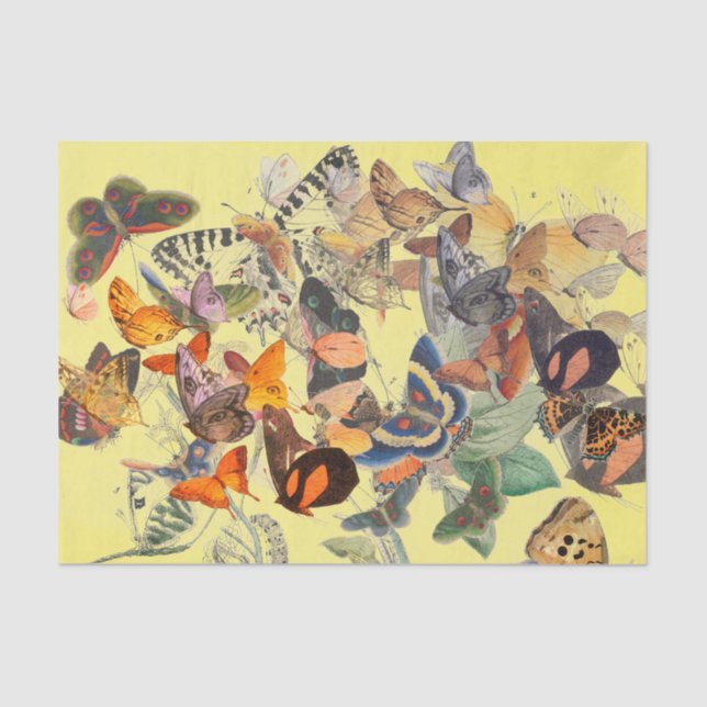 BUTTERFLY-TISSUPAPIER IN YELLOW SEIDENPAPIER (Vorderseite)