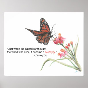 Butterfly Transformation Drawing Art Print Poster