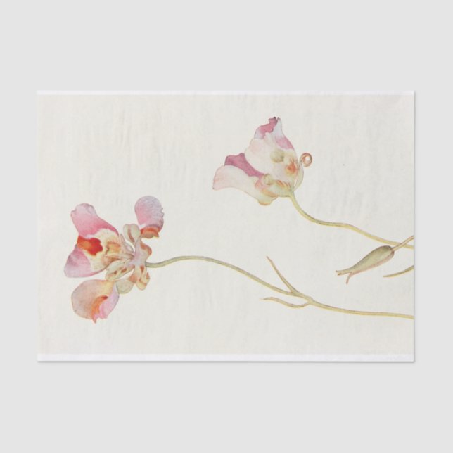 Butterfly Tulip von Margaret Armstrong Seidenpapier (Vorderseite)