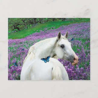 "Butterfly Überraschung" Postkarte