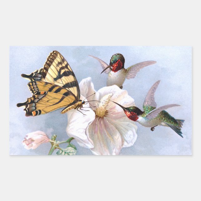 Butterfly und Hummingbirds Rechteckiger Aufkleber (Vorderseite)
