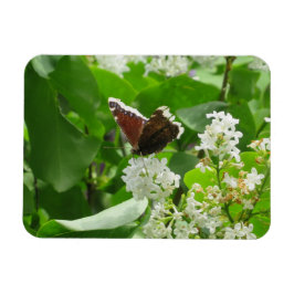 Butterfly und Spring Lilac Magnet