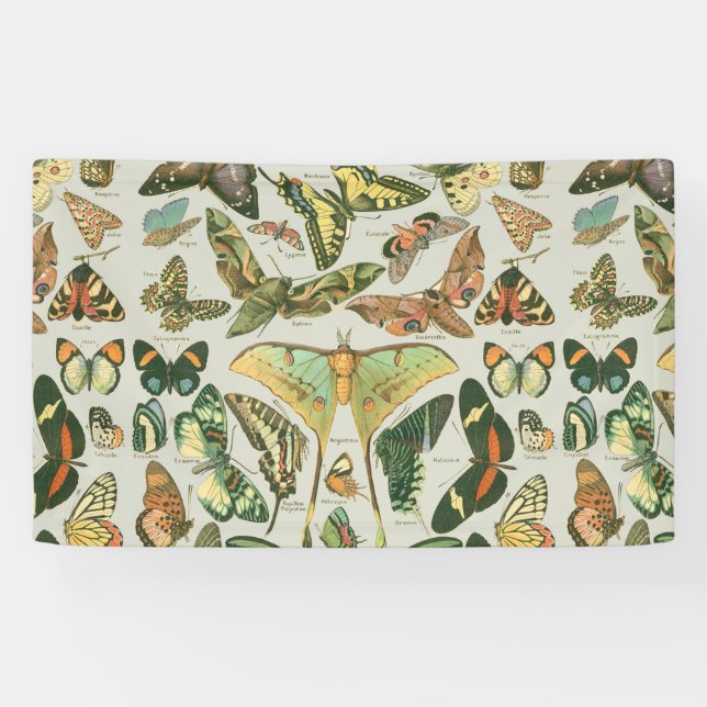 Butterfly Vintag Antique Butterfells Kunst Banner (Horizontal)