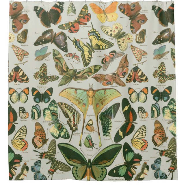 Butterfly Vintag Antique Butterfells Kunst Duschvorhang (Vorderseite)