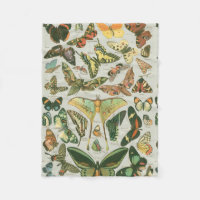 Butterfly Vintag Antique Butterfells Kunst