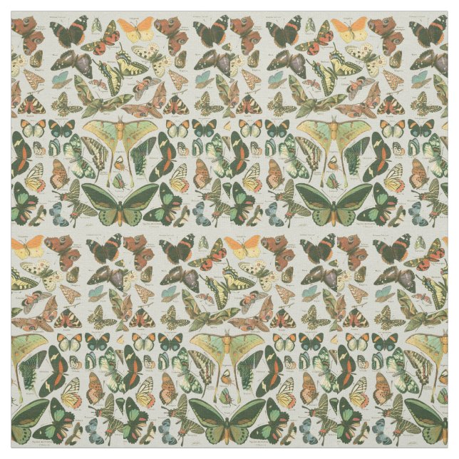 Butterfly Vintag Antique Butterfells Kunst Stoff (Muster)