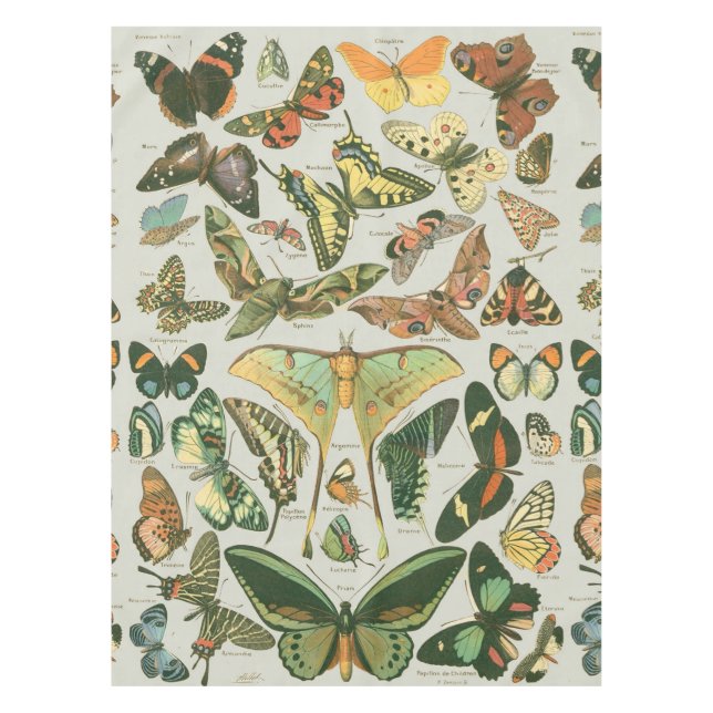 Butterfly Vintag Antique Butterfells Kunst Tischdecke (Vorderseite)