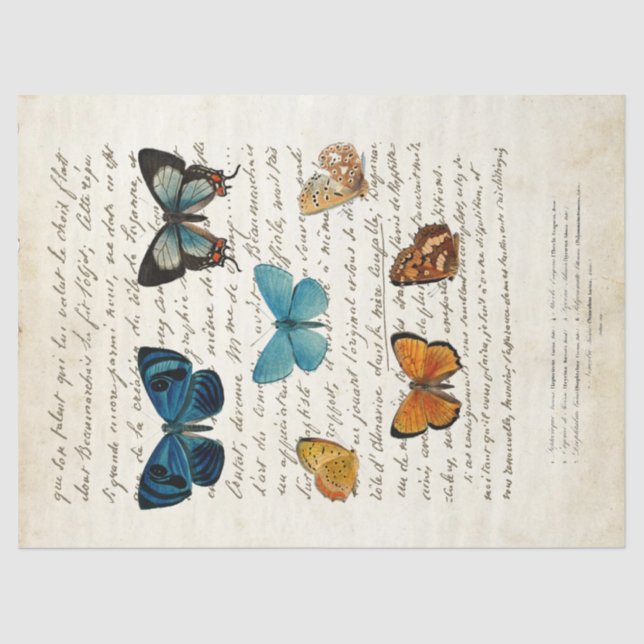 Butterfly Vintages französisches Script Vintag Dec Seidenpapier (Vorderseite)