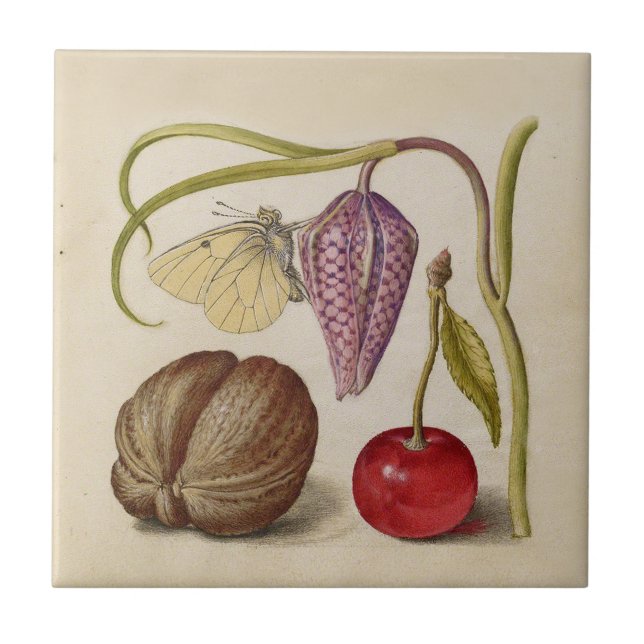 Butterfly Walnut Blume Cherry Wasserfarbe Kunst Fliese (Vorderseite)