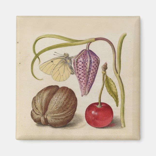 Butterfly Walnut Blume Cherry Wasserfarbe Kunst Magnet (Vorne)